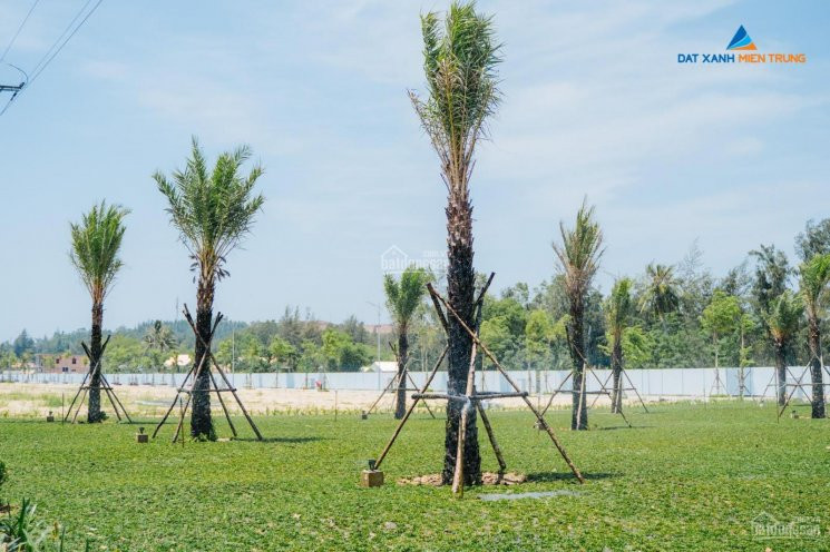 Chính Chủ Cần Bán Rẻ Lô đất Mỹ Khê Angkora Park Suất Ngoại Giao, Rẻ Hơn Thị Trường 100 Triệu 2