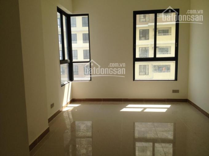 Chính Chủ Cần Cho Thuê Căn Hộ Era Town Q7 Nhà Trống 161m2 Giá 10tr, Lh: Phương 0949230486 6