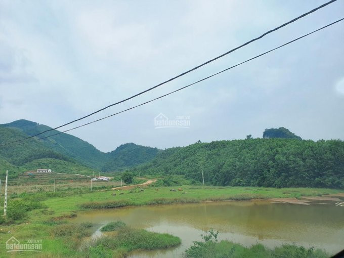 Chính Chủ Cần Thanh Lý 66000m2 đất Rừng Sản Xuất Phù Hợp Làm Trang Trại, Tại Lương Sơn, Hòa Bình 6