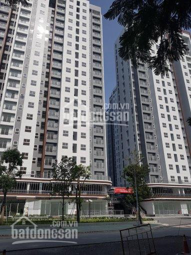 Chính Chủ Cho Thuê Nhanh 3 Căn Góc Conic Riverside, Dt 7296m2 - 2pn - 2wc, Giá 7tr/tháng Lh: 0962499533 1