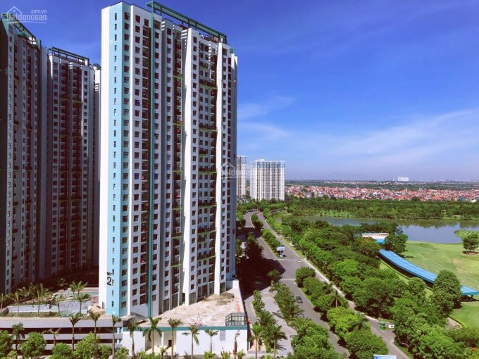 Chính Chủ Cho Thuê Nhanh Căn Hộ 69m2 Chung Cư Aquabay đủ đồ Giá 7,5 Triệu View Học Viện Golf Liên Hệ: 0336222816 1