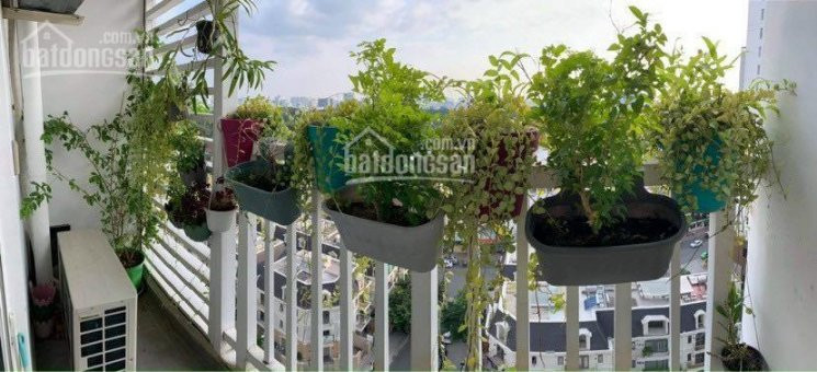 Chính Chủ Cho Thuê Nhanh Căn Hộ Cao Cấp Orchard Garden - Novaland 75m2 Thiết Kế 1 Phòng Ngủ 2wc Hồng Hà, Phú Nhuận 8