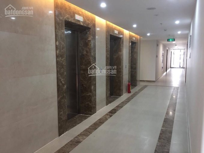 Chính Chủ Cho Thuê Nhanh Căn Hộ Diamond Lotus Riverside 49m2, 1pn - Giá 8tr/th 4