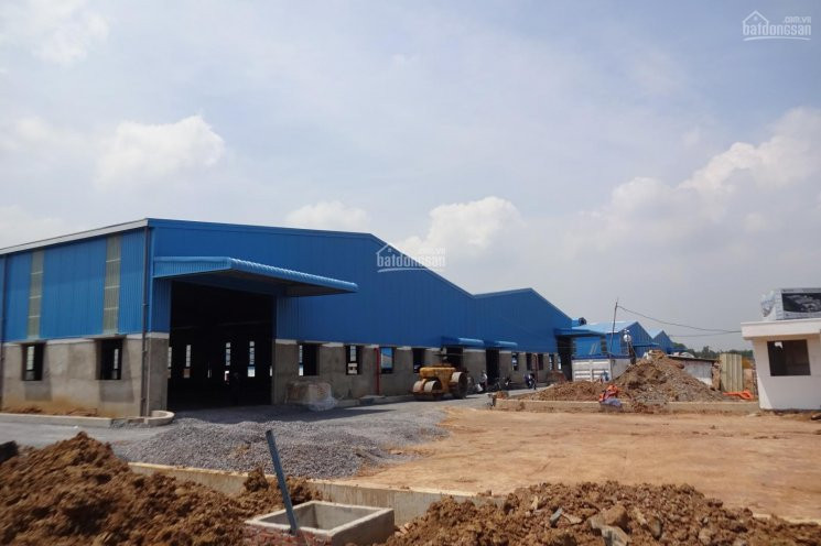 Chính Chủ Cho Thuê Nhanh Kho Xưởng 2400 M2 - 4000m2 - 6000m2 - 7200m2 Nằm Trong Kcn Giang điền, Trảng Bom, đồng Nai 7