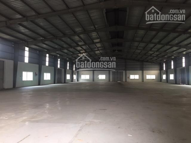 Chính Chủ Cho Thuê Nhanh Kho Xưởng Dt 600m2, 1000m2, 1500m2, 3000m2, 4500m2 Kcn Quang Minh, Hà Nội Lh 0979 929 686 1