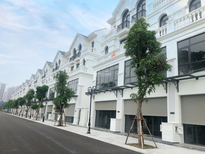 Chính Chủ Cho Thuê Nhanh Shophouse Sb23 Giá 18 Tr/tháng - Chủ Nhà Hoàn Thiện Cơ Bản 3