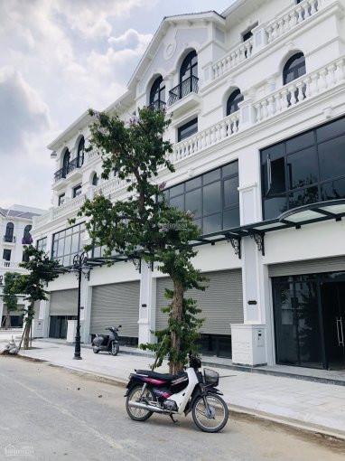 Chính Chủ Cho Thuê Nhanh Shophouse Vinhomes Ocean Park Mặt đường 52m, Lh: 0981923468 5