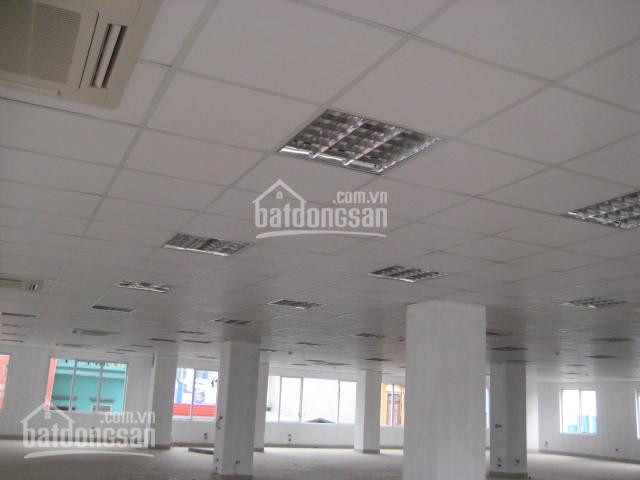 Chính Chủ Cho Thuê Nhanh Văn Phòng Hồ đắc Di, Quận đống đa 45m2, 70m2, 110m2, 220m2, 700m2, Giá 130000đ/m2 4