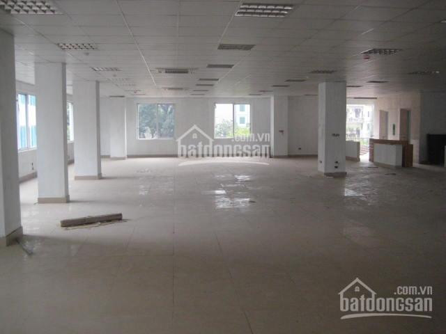 Chính Chủ Cho Thuê Nhanh Văn Phòng Hồ đắc Di, Quận đống đa 45m2, 70m2, 110m2, 220m2, 700m2, Giá 130000đ/m2 5