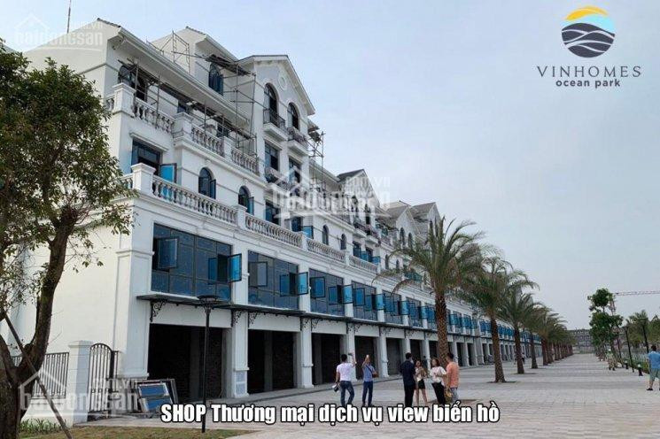 Chính Chủ Gửi Bán Biệt Thự Shophouse Vinhomes Ocean Park, Giá Tốt Nhất Thị Trường - Lh: 0988881630 1