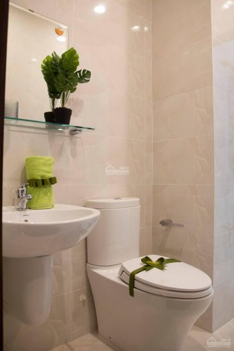 Chính Chủ Sang Nhượng Calla Garden 2pn 2wc View Thoáng Giá Tốt (chủ đầu Tư) Lh: 0903307905 5