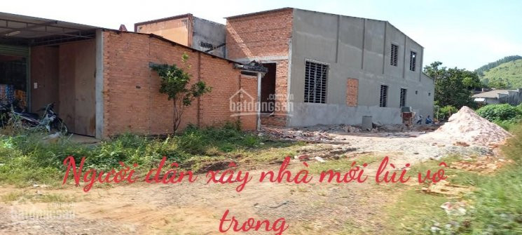 Chính Chủ Thanh Lý Nhanh Lô đất Tại Biển Hồ Tràm Hxuyên Mộc 760m2, 2735 Tỷ , Shr , Xd Tự Do Và đầu Tư Kd Ngay 1