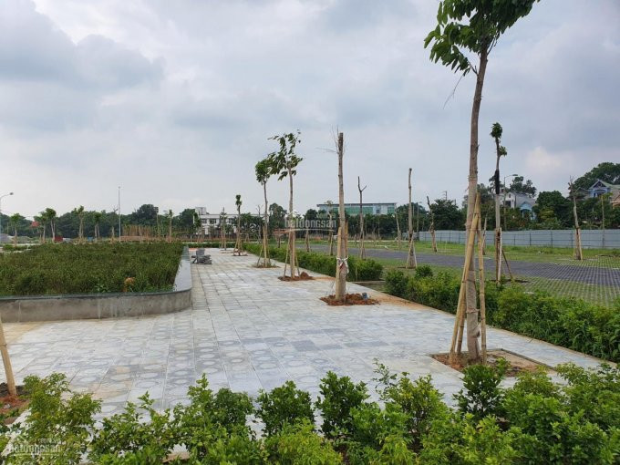 Chính Thức: Mở Bán 20 Lô đất Nền Mặt đường 195m View Hồ Dự án Vân Hội - Vĩnh Yên Center City 6