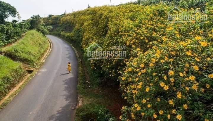 Chính Thức Mở Bán Dự án Bảo Lộc Farm Hill 5