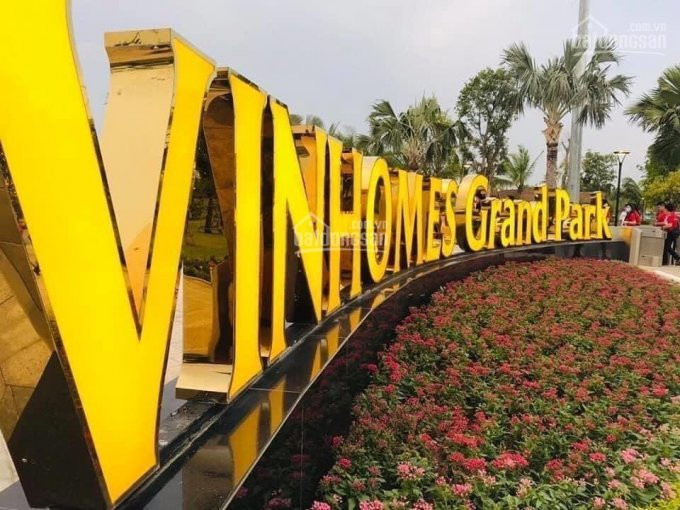 Chuyên Cho Thuê Vinhomes Grand Park Giá Rẻ Cập Nhật Ngày Tháng 11, Liên Hệ 0907870743 6