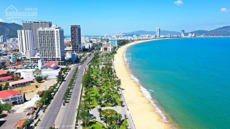 đất Biển Quy Nhơn, Cách Biển 600m, đường 50m đối Diện Lõi đô Thị, Giá 176tr/m2 Lh 0917984339 3