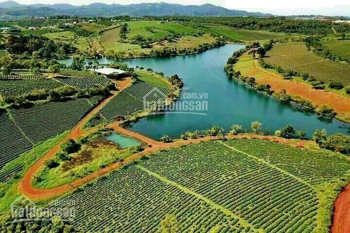 đất Chính Chủ View đồi Chè, View Hồ 3