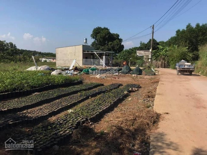 đất Sổ Hồng, 2 Mặt đường Sổ Sẵn 5x23m, Dân Cư Hiện Hữu, Cạnh Chợ Salim, Kcn Bàu Xéo 1