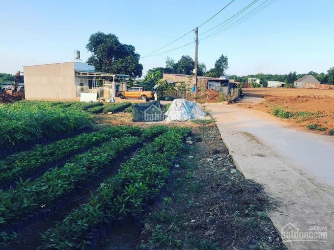 đất Sổ Hồng, 2 Mặt đường Sổ Sẵn 5x23m, Dân Cư Hiện Hữu, Cạnh Chợ Salim, Kcn Bàu Xéo 2