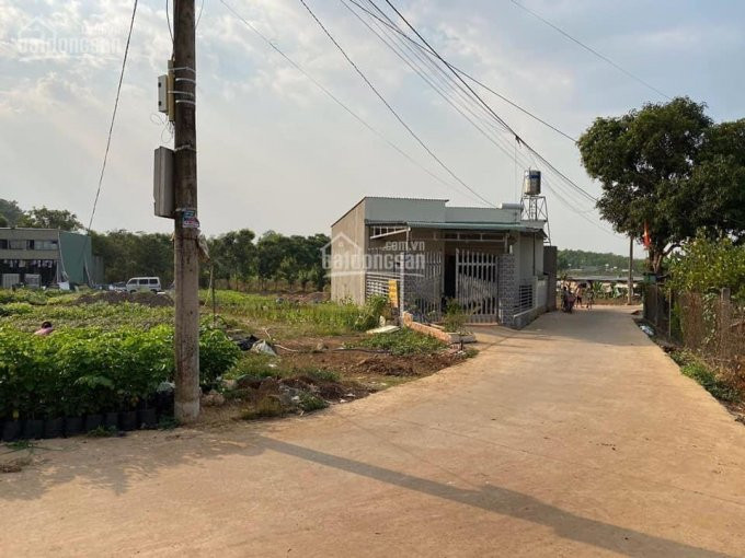 đất Sổ Hồng, 2 Mặt đường Sổ Sẵn 5x23m, Dân Cư Hiện Hữu, Cạnh Chợ Salim, Kcn Bàu Xéo 3