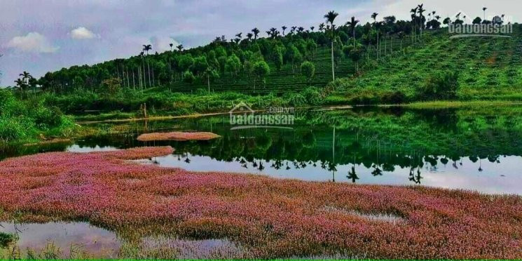 đầu Tư đất Nền Bảo Lộc Khôn Ngoan : Sổ Sẵn Thổ Cư - Giá Mềm đợt đầu - Pháp Lí An Toàn 2