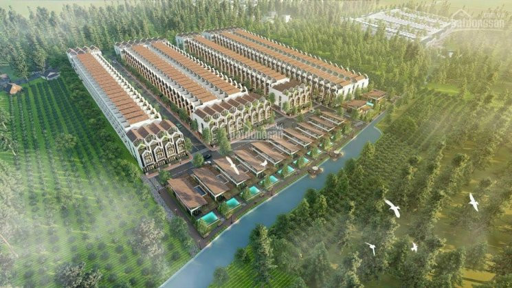 đầu Tư đất Nền Bảo Lộc Khôn Ngoan : Sổ Sẵn Thổ Cư - Giá Mềm đợt đầu - Pháp Lí An Toàn 6