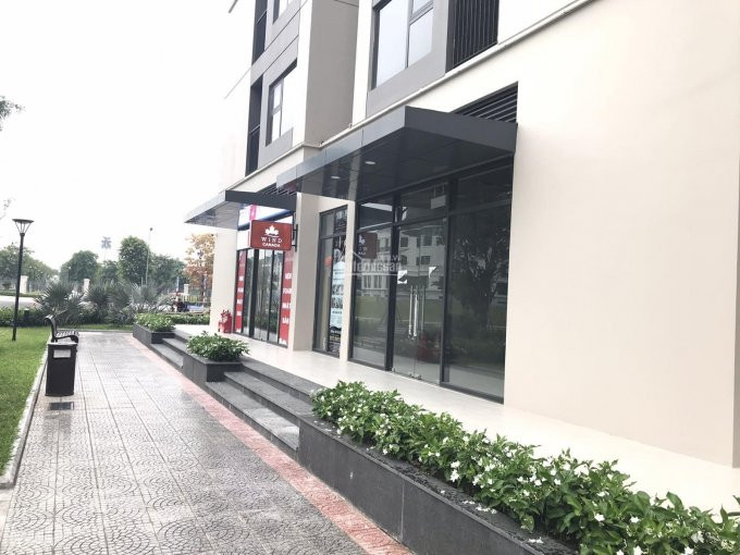 Duy Nhất Căn Shop Góc Siêu đẹp Giá Rẻ Bất Ngờ Tại S103 Vinhomes Ocean Park, Lh Ngay 0975344463 4