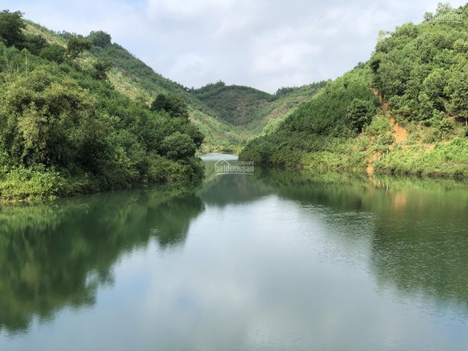 Giá Chỉ 300triệu Cho 1 Lô Bám Hồ Tuyệt đẹp,1hat  Duy Nhất (10000m) Làm Nghỉ Dưỡng Qúa đỉnh Cao 1