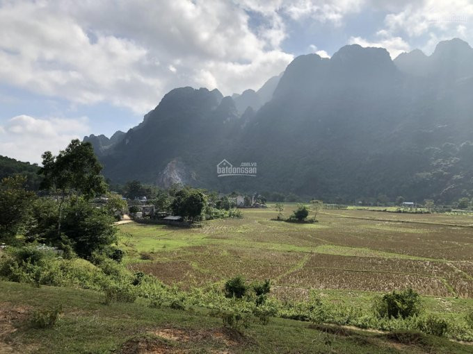 Giá Chỉ 300triệu Cho 1 Lô Bám Hồ Tuyệt đẹp,1hat  Duy Nhất (10000m) Làm Nghỉ Dưỡng Qúa đỉnh Cao 3