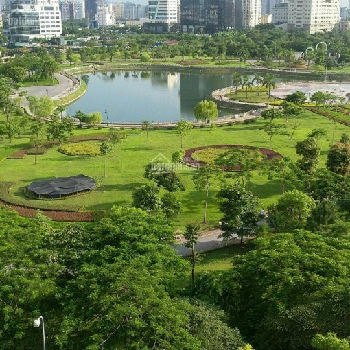 Gia đình Cần Tài Chính Bán Gấp Căn Hộ 2 Pn Căn Góc, View Hồ Công Viên Cầu Giấy Chỉ Với 3,1 Tỷ 3