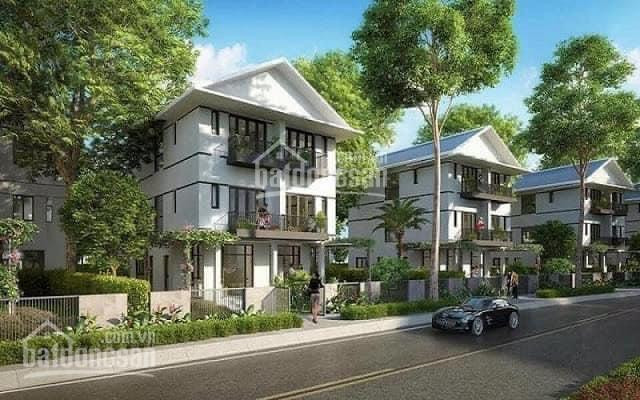 Khu đô Thị Cao Cấp Vũng Tàu - Lavida Residences - Giá 5,5tỷ/căn, Nh Hỗ Trợ 70%, Ck3-8%, 0932749019 4