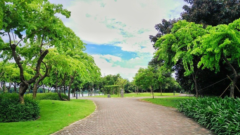 Công viên trung tâm 