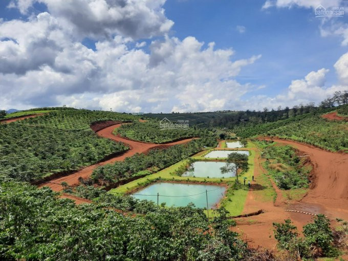 Làng Sinh Thái La Nature - Cơ Hội đầu Tư Siêu Lợi Nhuận Giữa Thiên Nhiên, Chỉ 739tr/nền 1