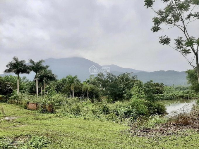 Lô đất Nghỉ Dưỡng Có Suối Chảy Qua, Trong đất Có Ao, View Cánh đồng Cạnh Mít Hilltop Yên Bài, Ba Vì 5