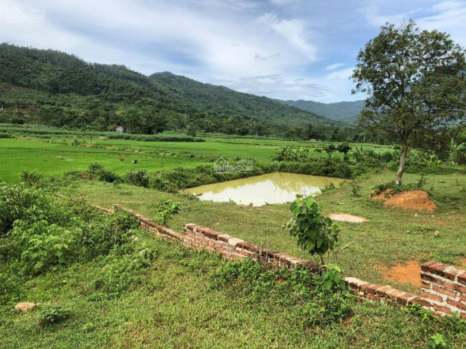 Lô Sổ đỏ To Nhất, Pháp Lý Rõ Ràng Nhất Yên Bài 5915m2 4