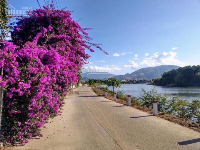 Lô View Sông Liên Hoa, Vĩnh Ngọc, Nha Trang - Lô 3 Mặt Tiền Siêu đẹp Giá 18tr/m2 2