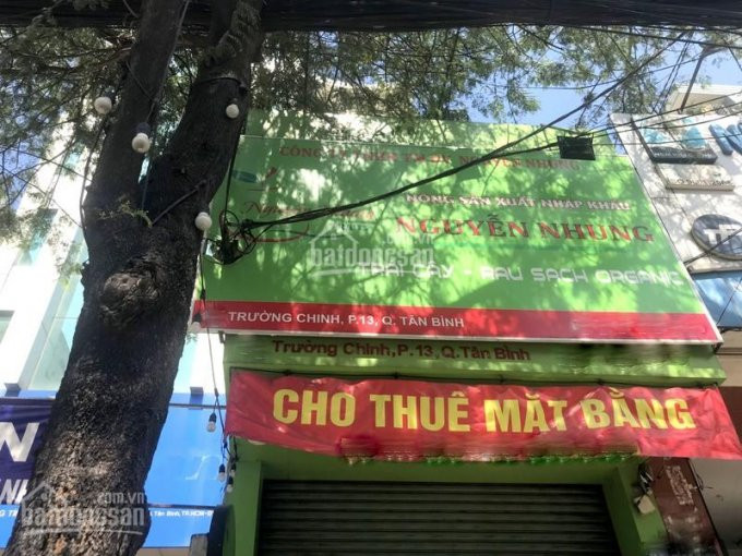 Mặt Bằng 15m2 Mặt Tiền Trường Chinh, Tân Bình 2