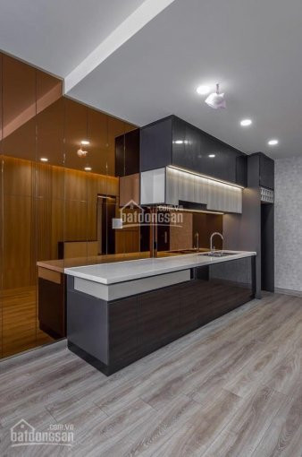 Mình Cần Cho Thuê Căn Hộ Cao Cấp Saigon South Residence Phú Mỹ Hưng, Mới 100% Giá 11 Triệu/th 6