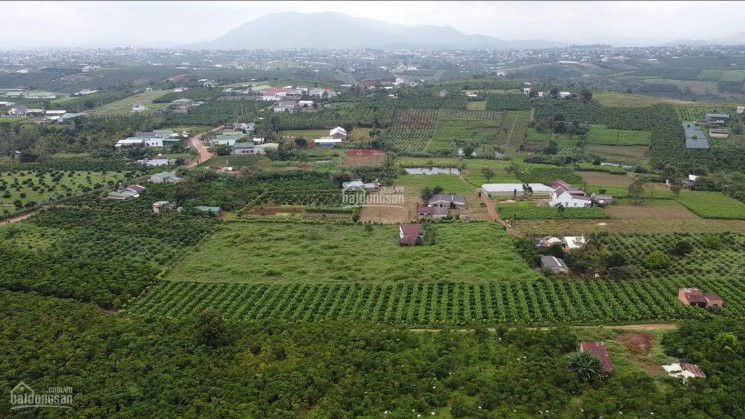 Mở Bán Farm Stay Bảo Lộc Garden Villas, Giá Chỉ 24tr/m2 Lh: 0962106894 3