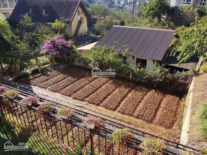 Mô Hình Farm Dành Cho Cuộc Sống Xanh Của Bạn Tổng Giá 50 Ngàn/m2 0938531704 Liên 4