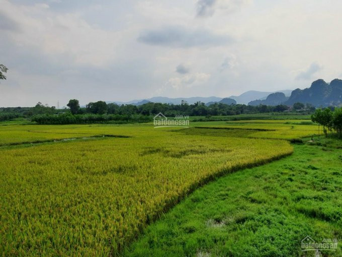 Siêu Phẩm đất Nghỉ Dưỡng View Tuyệt đỉnh Tại Lương Sơn, Hòa Bình Diện Tích 3000m2 8