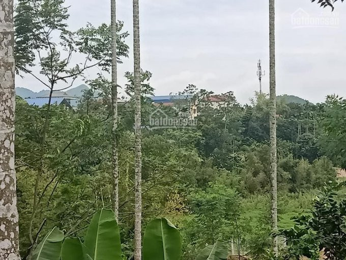 Siêu Phẩm Nghỉ Dưỡng Nhà Vườn View Sông Hồ 2700m2, đất ở 400m2, Thế đất Hình Mai Rùa 3