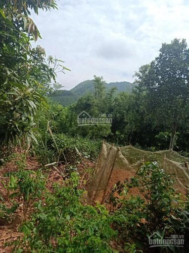 Siêu Phẩm Nghỉ Dưỡng Nhà Vườn View Sông Hồ 2700m2, đất ở 400m2, Thế đất Hình Mai Rùa 4