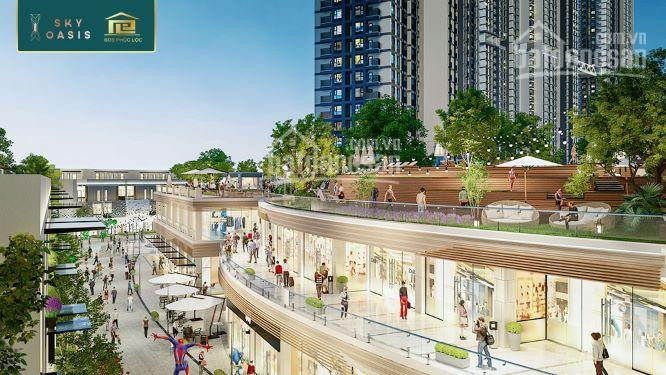 Suất Ngoại Giao Shophouse 2 Mặt Tiền Sky Oasis Ecopark 2