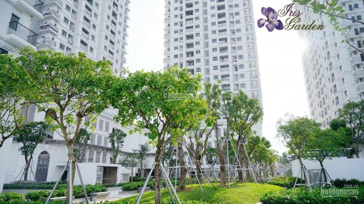 Tại Sao Bạn Phải Tham Quan Căn Hộ Iris Garden - Mỹ đình Trước Khi Mua Bất Cứ Bds Nào 6