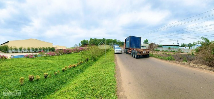 Tôi Chính Chủ Bán đất Long Thành Mt đường Phước Bình 32m ,sổ Hồng , Giá 2,5ty/1000m2 2