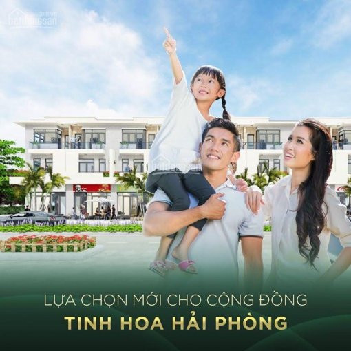 ưu đãi Khủng Cho Khách Hàng Mua Biệt Thự Belhomes, Trung Tâm Hành Chính Mới Thành Phố Hải Phòng 3