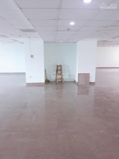 Văn Phòng Cho Thuê Giá Rẻ Tại 72 Trần đăng Ninh, Cầu Giấy, Hà Nội Diện Tích đến 400m2 11