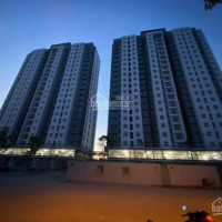 Căn Hộ Chung Cư Conic Riverside Quận 8 50m2, 1 + 1pn, 1wc, Giá Chỉ 1,430 Tỷ