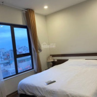 Chính Chủ Bán Căn Hộ Apartment đào Tấn, 31p, Doanh Thu 480tr Khách Nhật Full, 190m2, Mt 12m, 48 Tỷ